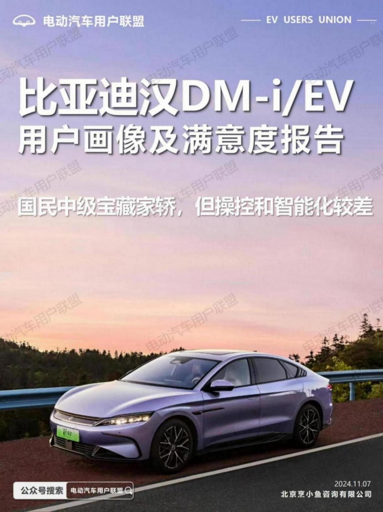 比亚迪汉EV DM-i用户画像及满意度报告（1106）pptx_01.jpg